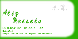 aliz meisels business card